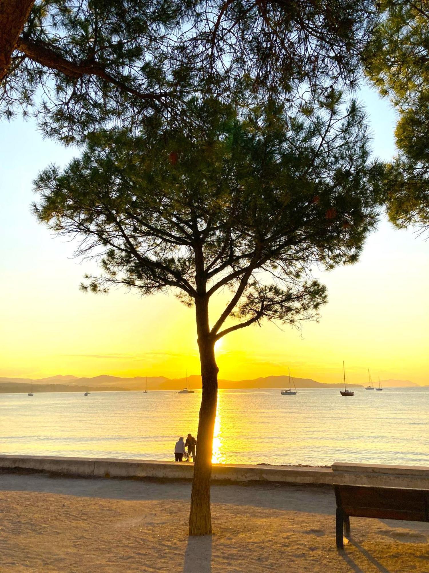 Blue Summer Vibes For 4p, Ac, Parking, Beachfront, Access -5 La Ciotat